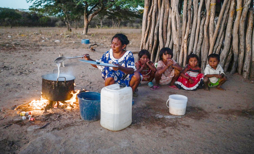 En La Guajira más de mil familias fortalecen su soberanía alimentaria con proyectos productivos del Gobierno
