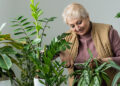 Por qué hablar a las plantas las hace crecer más sanas