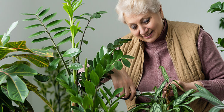 Por qué hablar a las plantas las hace crecer más sanas